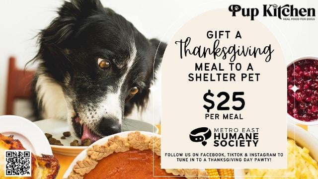 Metro East Humane Society alimentará a los perros del refugio con un banquete de pavo durante la transmisión en vivo