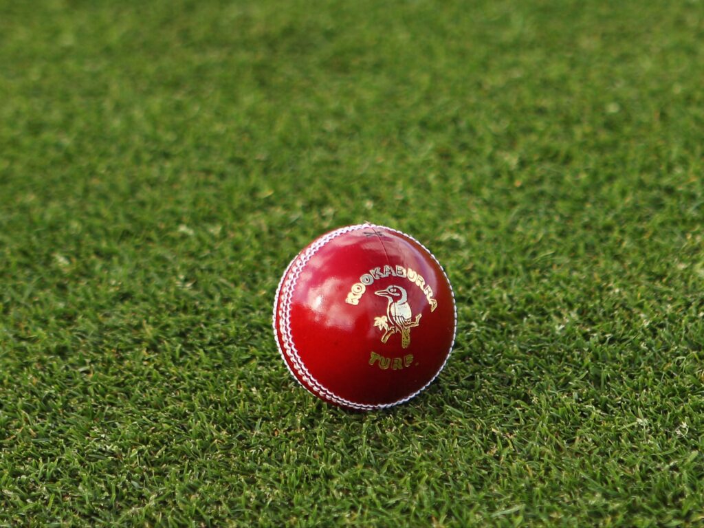 Una vista general de una pelota de cricket.